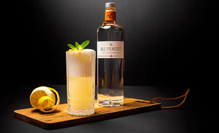 Gin Fizz